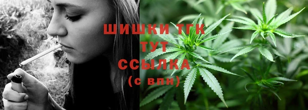 стаф Вяземский