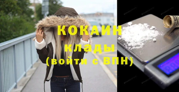 стаф Вяземский