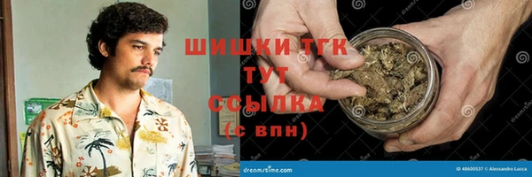 стаф Вяземский