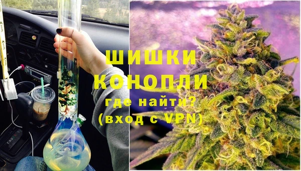 стаф Вяземский