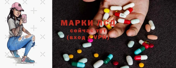 стаф Вяземский